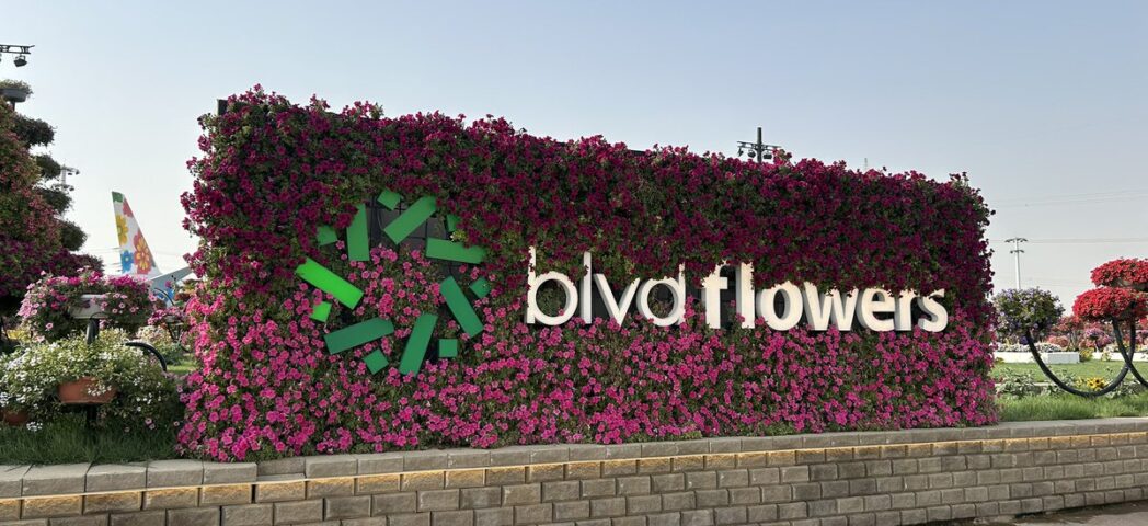 Boulevard Flowers in Riyadh