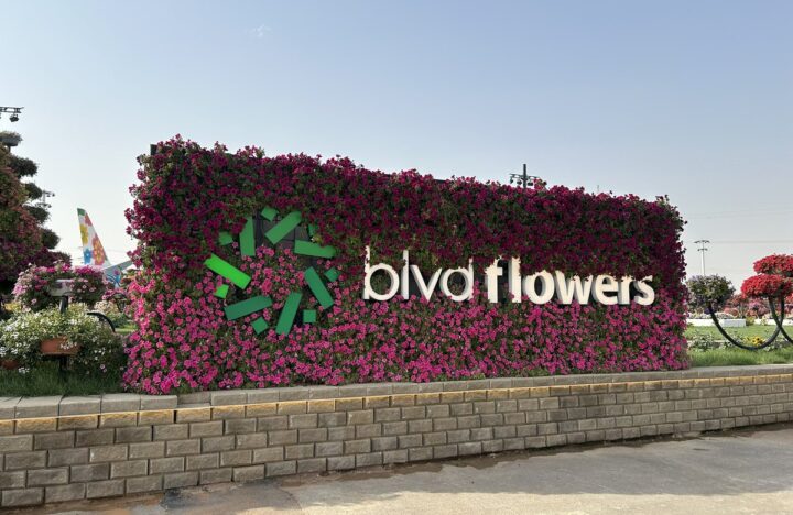 Boulevard Flowers in Riyadh