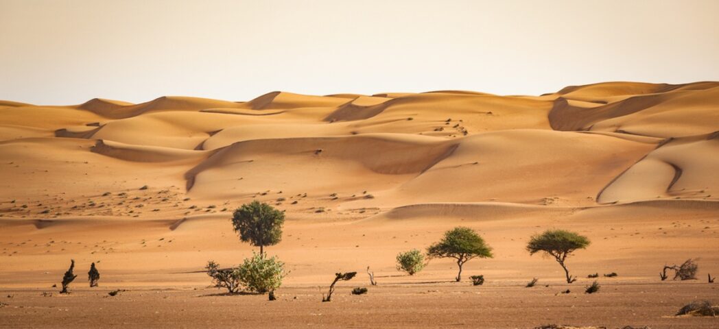 Wahiba Sands and Saiq Plateau, Oman